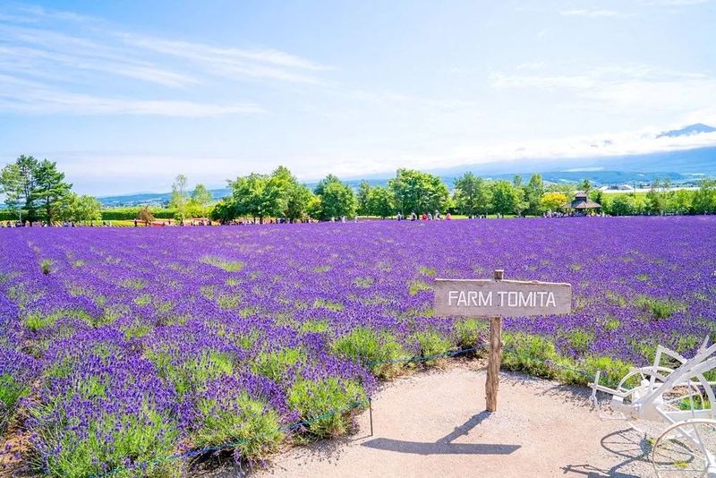 干了很多年没有升职的真相，99%的人不知道