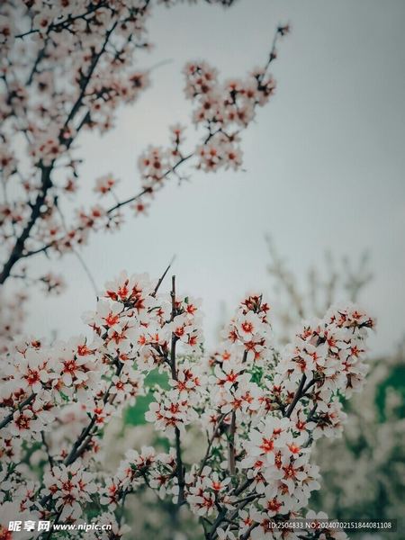 关于被人误解了要解释吗，一个真实故事改变了我的看法