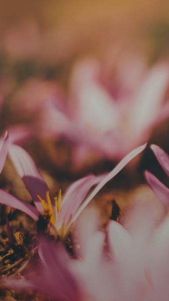 失眠怎么快速入睡小妙招？心理学角度帮你深度剖析