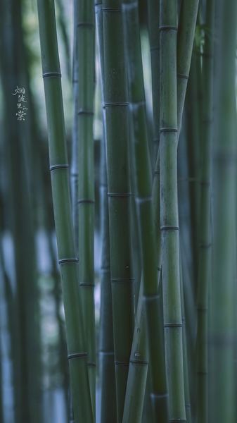 深度好文：双相情感障碍和抑郁症区别的心理学真相