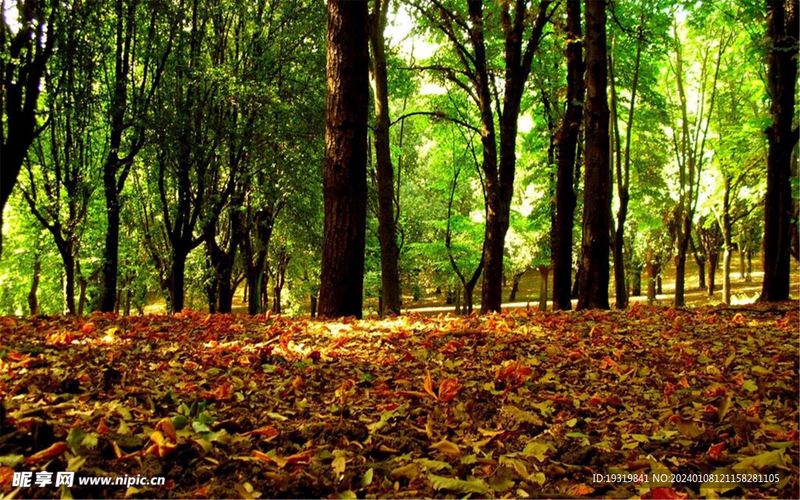 射手座真的花心吗？心理学角度帮你深度剖析