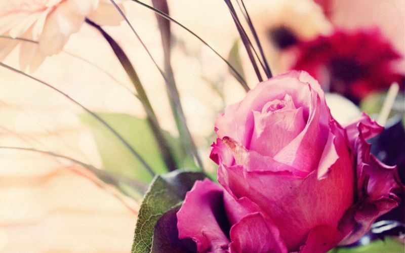 创业失败负债累累怎么办？今天终于有人说透了