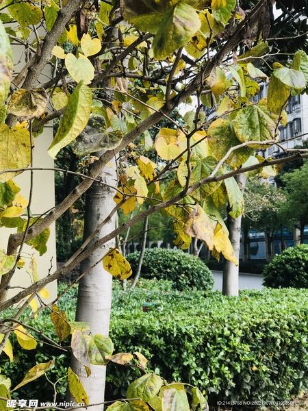 人际关系差是什么原因：你需要知道的几个关键点