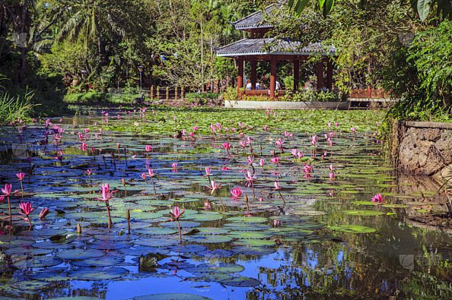 追女生发什么消息比较好？过来人告诉你真正有用的方法(减压指南)