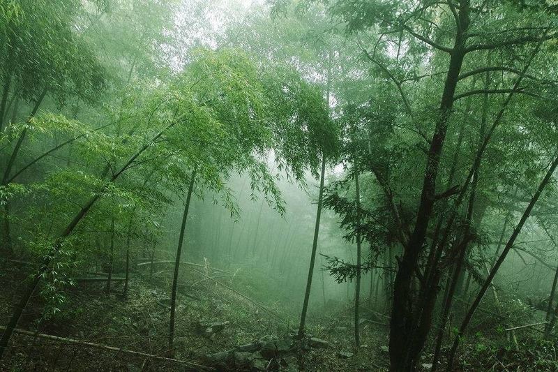 二胎家庭怎么平衡关注？可能你一直理解错了