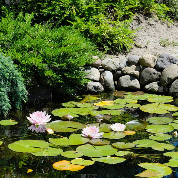 远程办公效率低怎么办：写给每一个正在经历的你