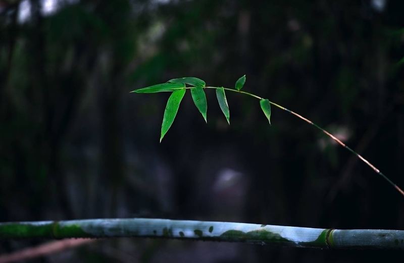 失眠怎么快速入睡小妙招？心理学教你正确应对 —— 孤独与自我必读