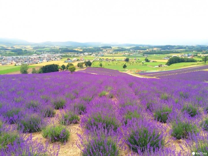 拖延症是心理疾病吗：3个技巧让你不再反复纠结