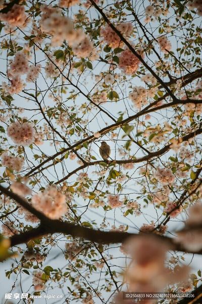 邻里关系紧张怎么处理