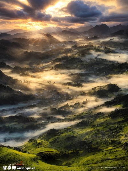 恋爱脑怎么治？别急着下结论，先看完这篇