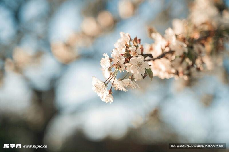 关于双子座为什么忽冷忽热，一个真实故事改变了我的看法