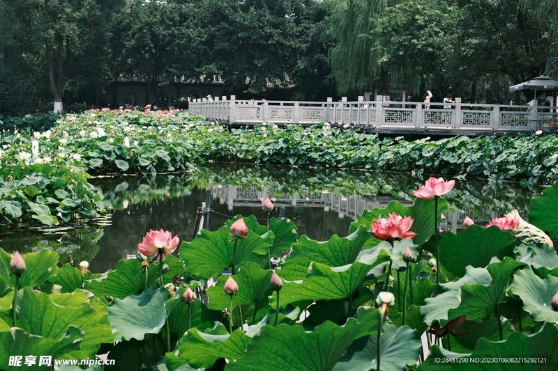 关于社恐怎么改善，一个真实故事改变了我的看法 —— 情感纠葛