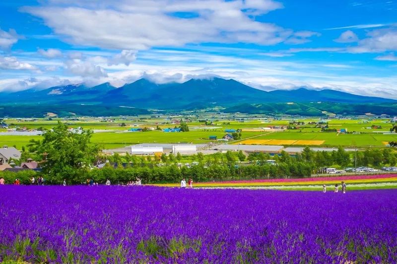 合群好还是不合群好？心理学家推荐的4步自救指南