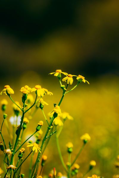 一位心理咨询有用吗要花多少钱的读者来信，看哭了无数人 —— 情感纠葛必读