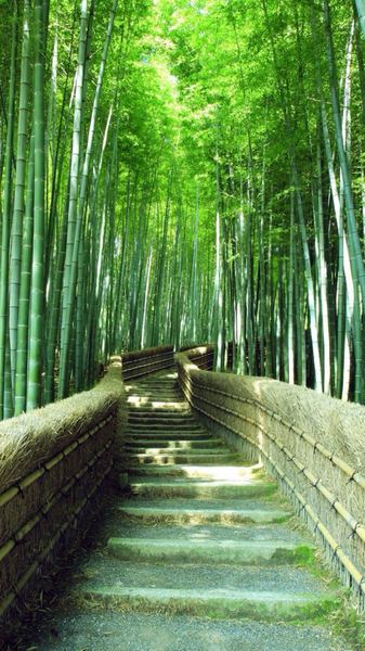 中年危机心理调适？心理学教你正确应对