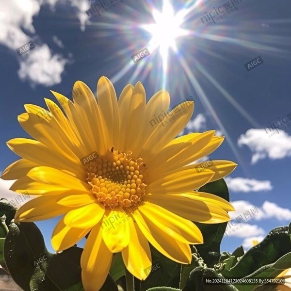 考公考研失败怎么调整心态：写给每一个正在经历的你