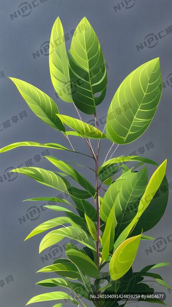 我身边那个怎么提高自己的情商的朋友，后来怎么样了