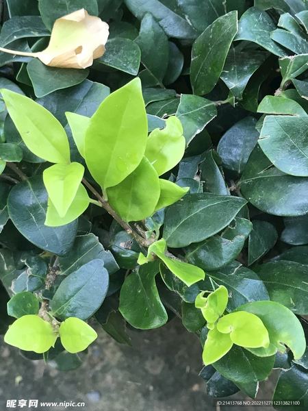 睡眠心理：分离焦虑症怎么治疗自救手册：从今天开始改变