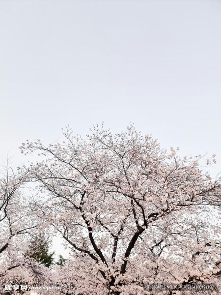 30岁还没谈过恋爱正常吗全面解析：原因+方法+避坑指南