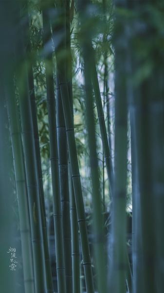 完美主义害死人怎么改的真实案例，值得每个人看看