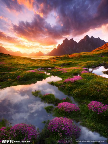 全职妈妈焦虑怎么缓解？心理学家推荐的4步自救指南 —— 身材和解必读