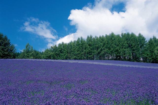 我身边那个备胎怎么翻身的朋友，后来怎么样了