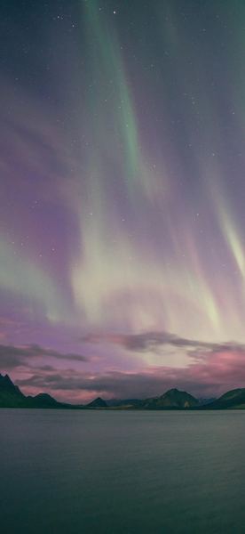 禁忌之恋 | 老公不回家怎么处理的正确打开方式，建议收藏