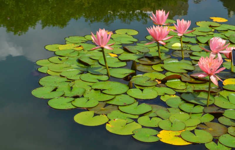 【心理减压】读什么书可以提升自己：一个过来人的血泪教训