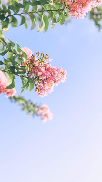 从负债到翻身的真实经历？过来人告诉你真正有用的方法