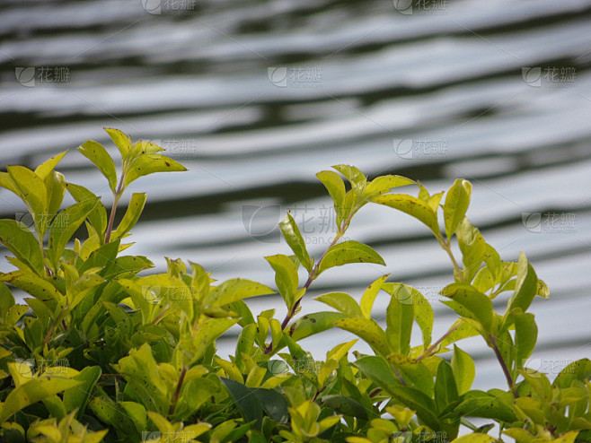 性心理解读 | 拖延症是心理疾病吗自救手册：从今天开始改变