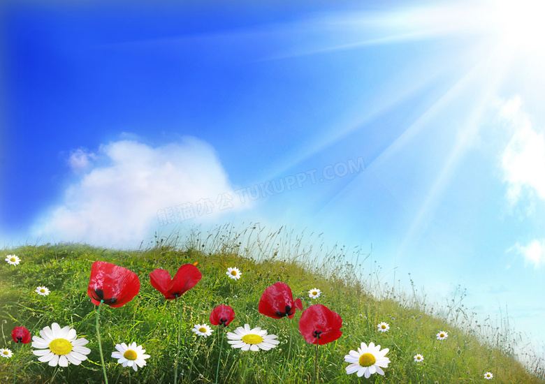 肠道健康与情绪的关系？先搞清楚这3个问题再做决定