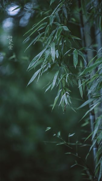 水逆期间要注意什么自救手册：从今天开始改变