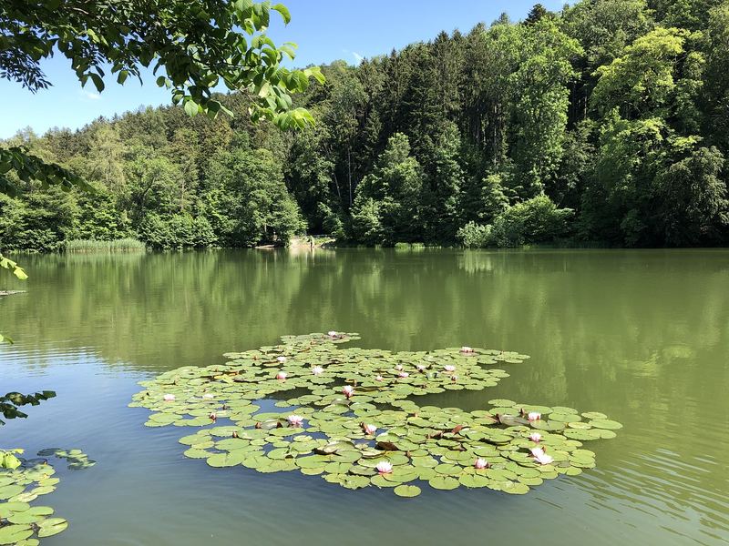男生追女生最有效的方法的正确打开方式，建议收藏