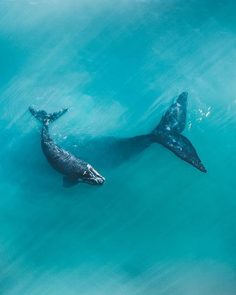 恐婚恐育是心理问题吗？心理咨询师建议你这样做