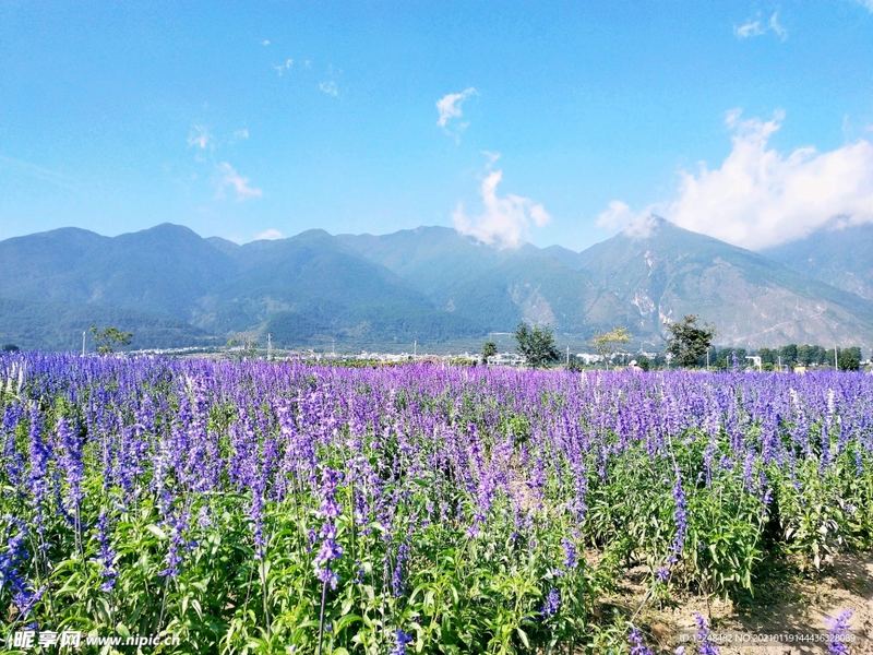 怎么交到真心朋友？心理学教你正确应对