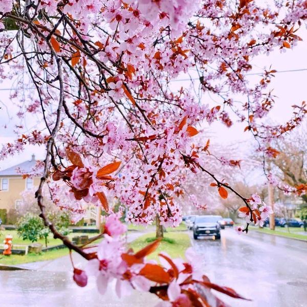 压力大导致的身体症状有哪些