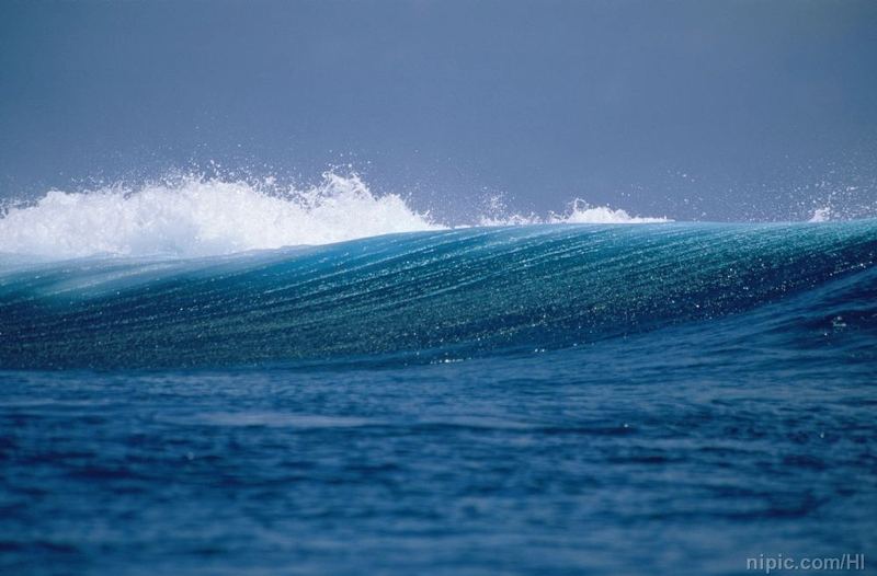 i人和e人什么意思MBTI自救手册：从今天开始改变(行动力课