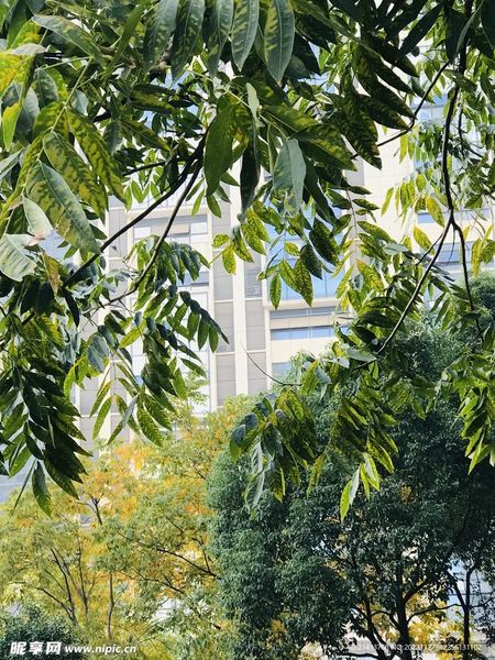 老好人怎么变强势？心理咨询师给你说几句真心话