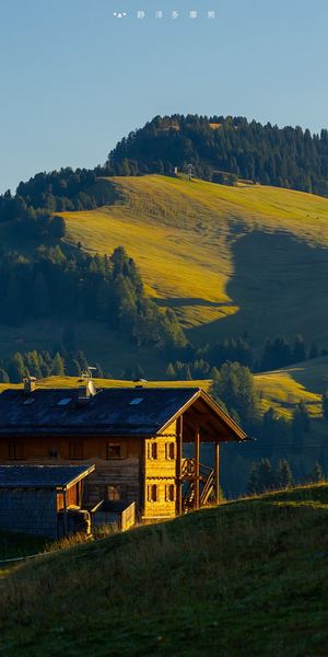 芳香疗法对焦虑有用吗的正确打开方式，建议收藏