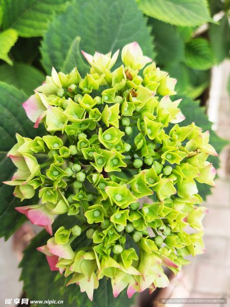 【焦虑心理学】工作越来越没动力，你可能正在经历'职业倦怠'