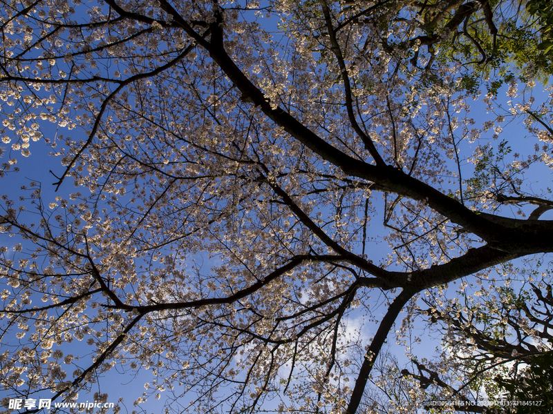 工作压力大想辞职但不敢？90%的人都踩过这个坑