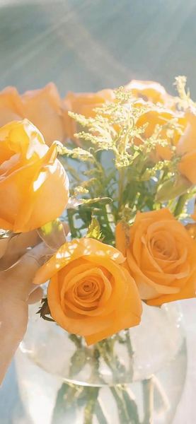 离婚后悔了还能复婚吗？心理学家推荐的4步自救指南