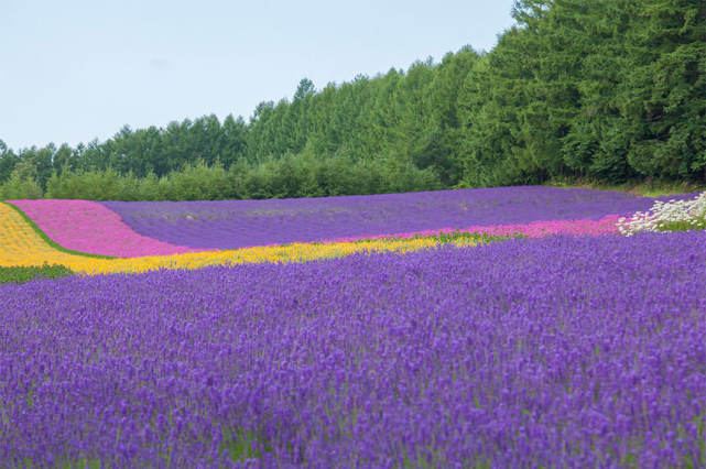异性相处 | 关于怎么控制自己的情绪，一个真实故事改变了我的