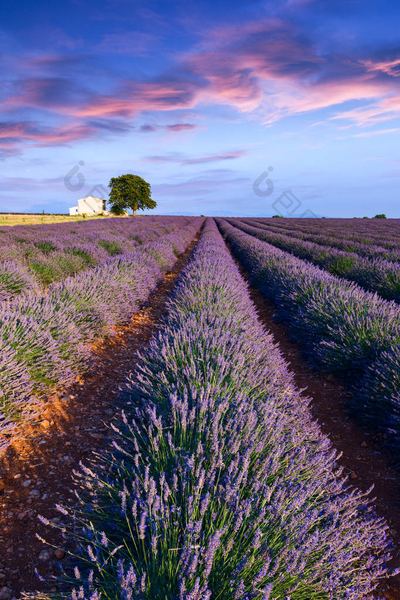 情感心理 | 婚姻里没有爱了要离婚吗的5个实用方法，第3个最有效