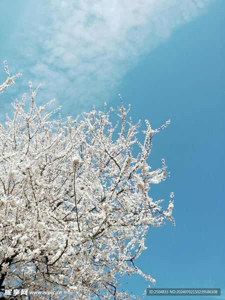 劈腿被发现还能原谅吗？心理专家一针见血的分析