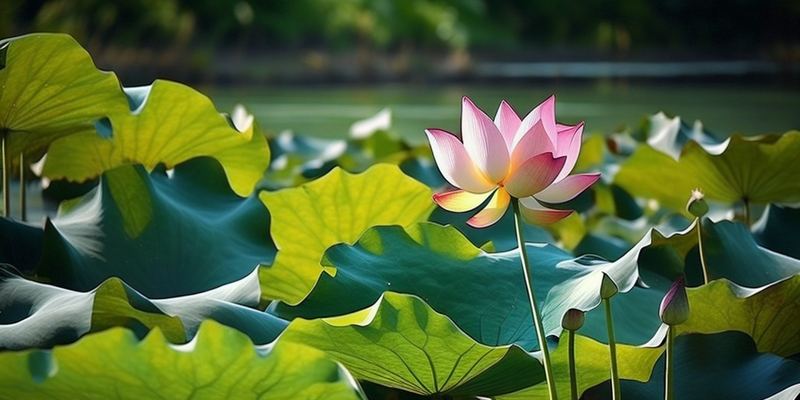 办公室恋情要不要公开？认清这几点，你就不纠结了