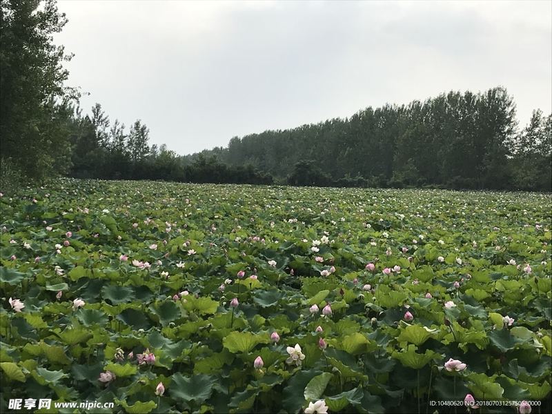 劈腿被发现还能原谅吗？这篇文章帮你理清思路