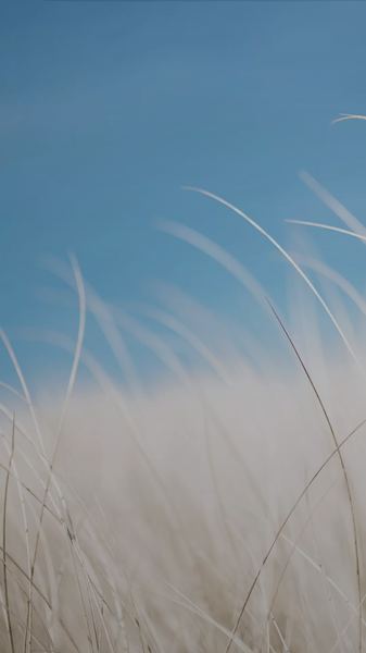 深度好文：干了很多年没有升职的心理学真相