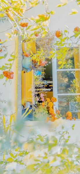 被生活击倒了怎么站起来？资深心理师总结的7条建议