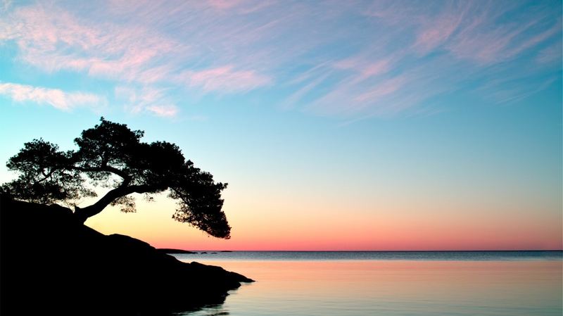 过度在意别人看法怎么改？先搞清楚这3个问题再做决定(自卑疗愈)